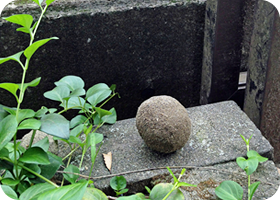 はまっこ広場の写真