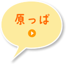 原っぱ